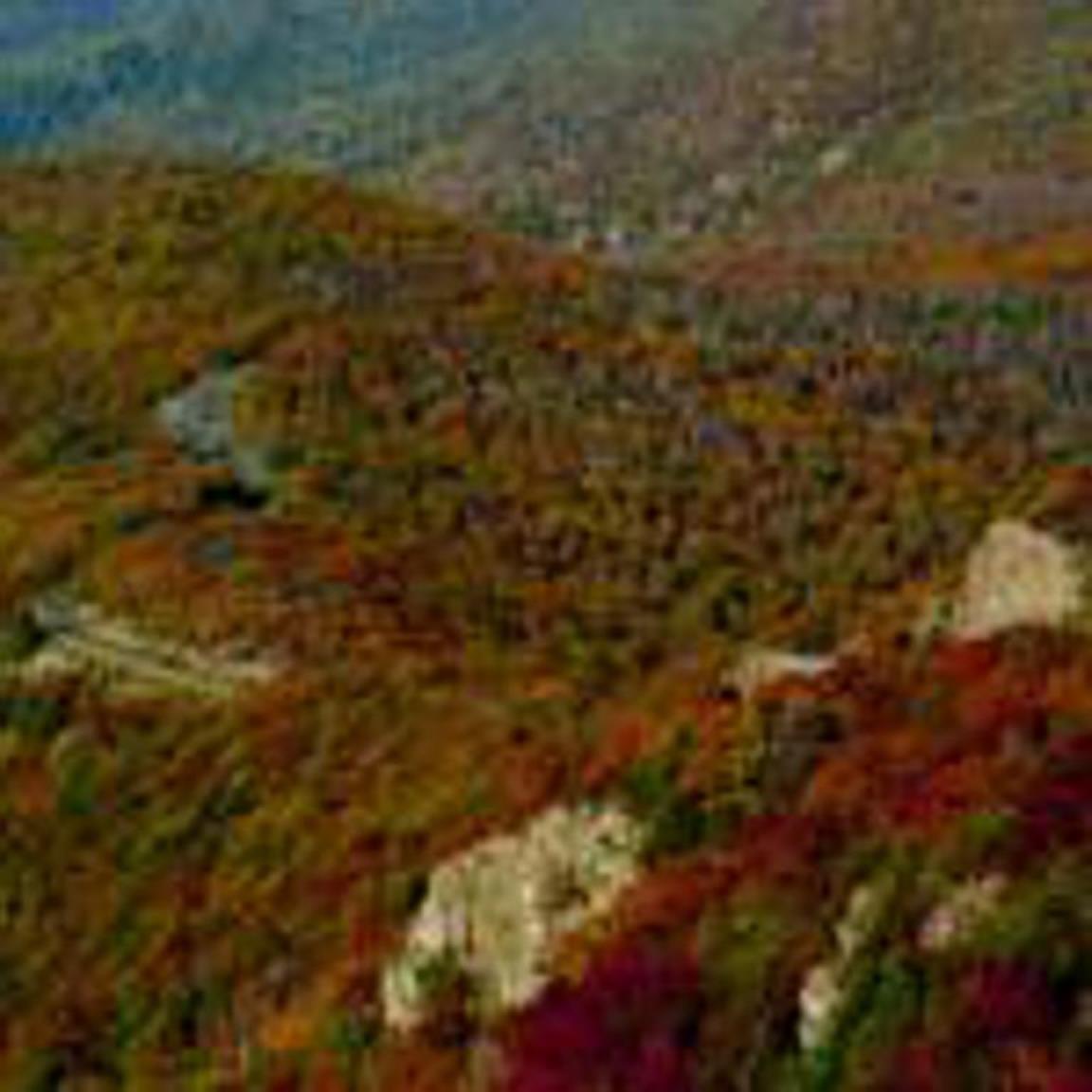 Skyland Resort Luray Exterior foto